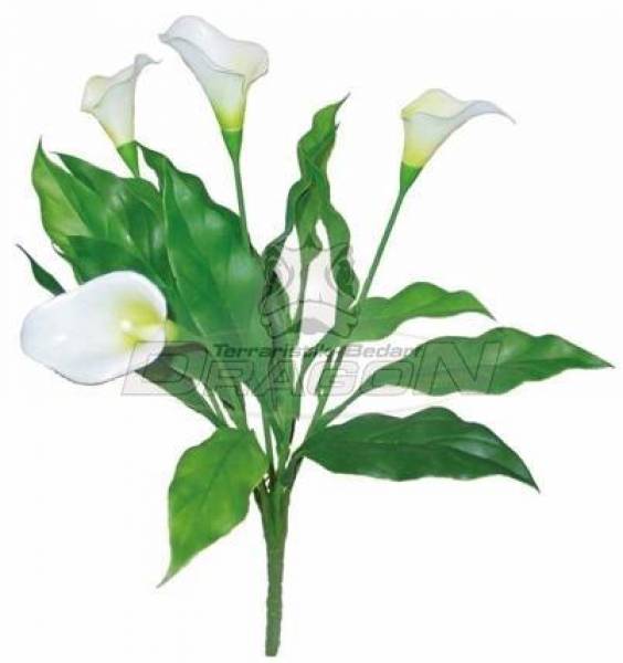 Calla weiss ca. 35cm